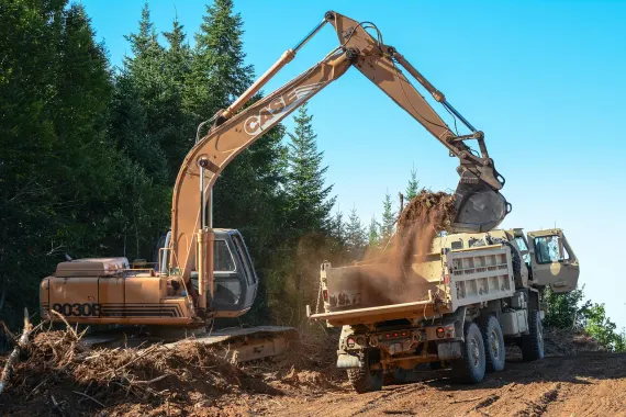 Kazino Bonkers Bet Atbalsts